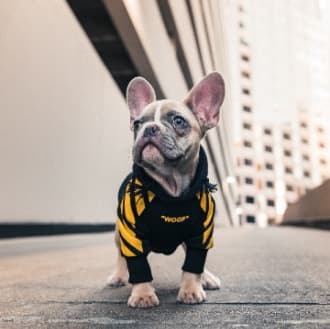 #